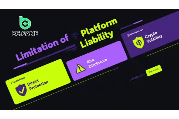 Limitation of Platform Liability